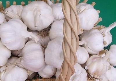 大蒜,生姜,调味料,大葱