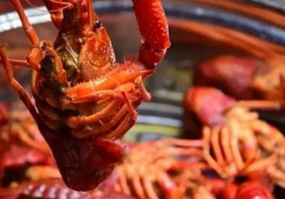 小龙虾,红酒,龙虾,喝酒