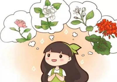 这些香味十足的花,放在家里最合适了