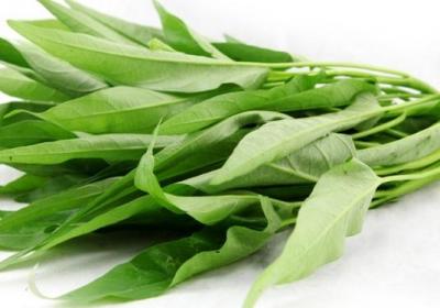 空心菜,蔬菜,白菜,青菜