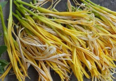 蔬菜,土豆,红薯