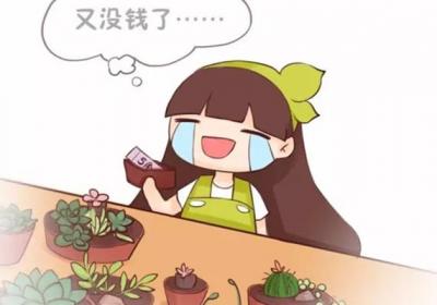 真相！养花穷三代,多肉毁一生