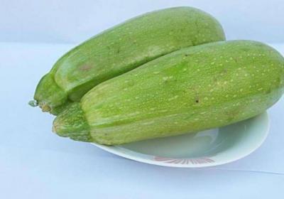蔬菜,西葫芦,白菜