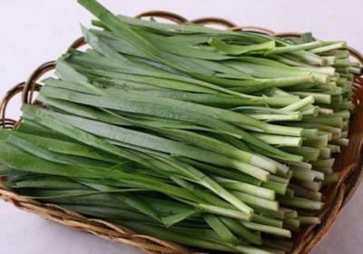 韭菜,蔬菜,膳食
