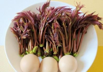 香椿,蔬菜,膳食