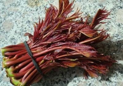 香椿,蔬菜,膳食