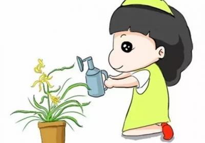 新手必看！养兰花的4大禁忌,不知道就亏大了