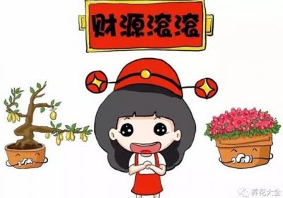 10种红火的观果植物,让你财源滚滚好运来