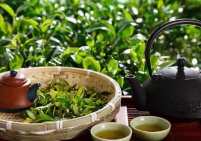 喝茶,隔夜茶,健康