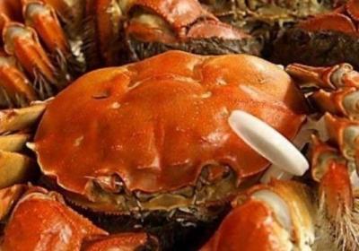 螃蟹,拉肚子,宝宝,海鲜