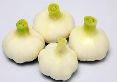 大蒜,蔬菜,防癌