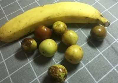 香蕉,冬枣,水果,零食