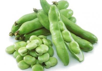 蚕豆,三七粉,中药,蔬菜