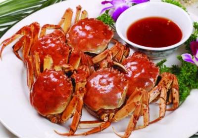 蟹,细菌,柿子