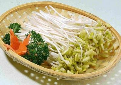 豆芽,蔬菜,膳食