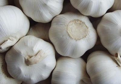 大蒜,蔬菜,防癌