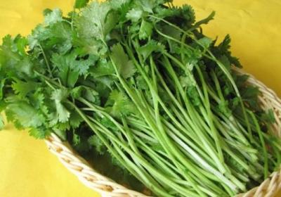 香菜,蔬菜,膳食