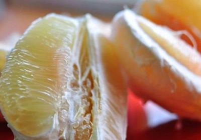 柚子,西柚,橙子