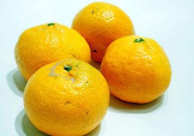伤胃,蔬果,养胃