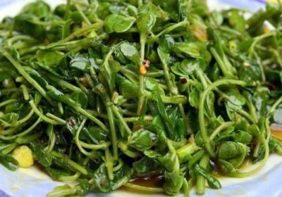 蔬菜,食物中毒,消化