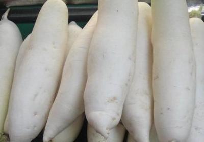 白萝卜,蔬菜,膳食