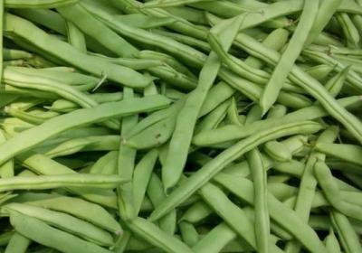 食物中毒,蔬菜,膳食