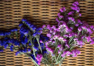 勿忘我怎么制作干花