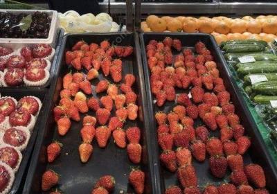 草莓,呕吐,食物中毒