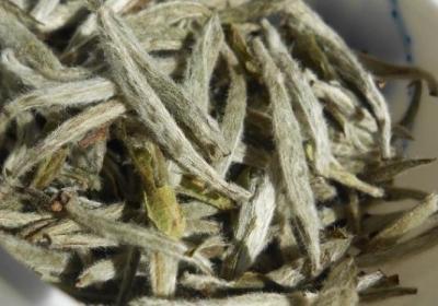 茶叶,喝茶,泡茶