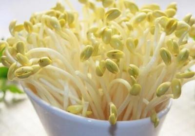 肝脏,养肝,蔬菜