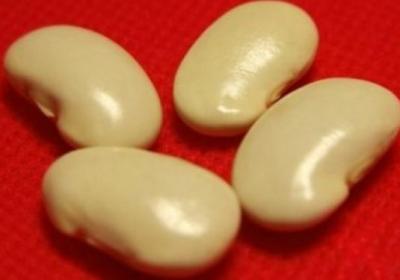 放屁,豆子,消化,肠胃