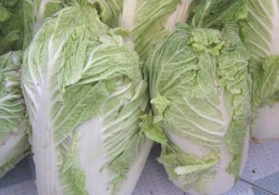蔬菜,存储,膳食