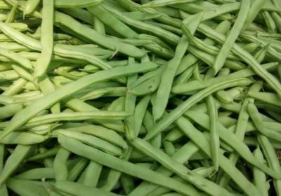 食物中毒,蔬菜,膳食