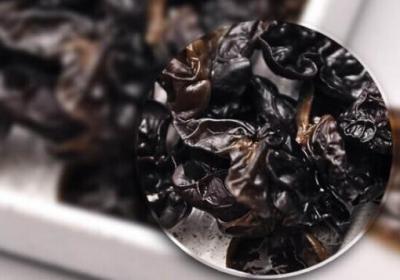 人造木耳的鉴别方法 吃了人造毒木耳会出现呕吐腹泻中毒现象(图文)