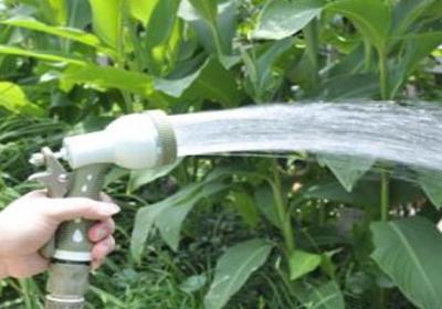 养花浇水施肥技巧