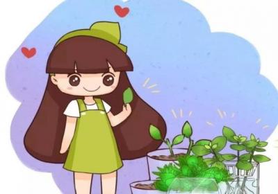 君子兰长寿,揪片叶子扔土里,大白根呼呼冒！