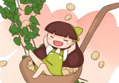 绿萝1把豆,文竹1勺糖,1个月嗖嗖爬墙！