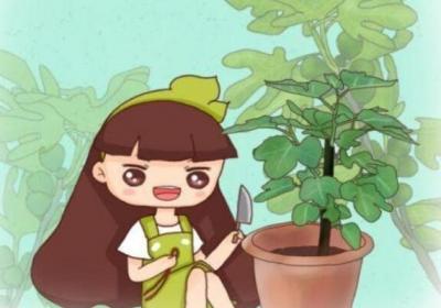 绿萝扎根绳子,叶子长得比脸大,10天窜1米！