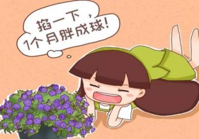 给三角梅剪几刀,1年爆3次,各个都是大花球！