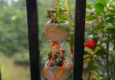 自从开始养花,她就得了一个怪病,瞅啥都是花盆！