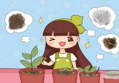 未来1个月,这8种花插土里就活,秋冬也能开！