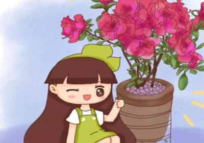 100个花苞剪掉90个,老婆想要锤死他,1个月后乐开了花！