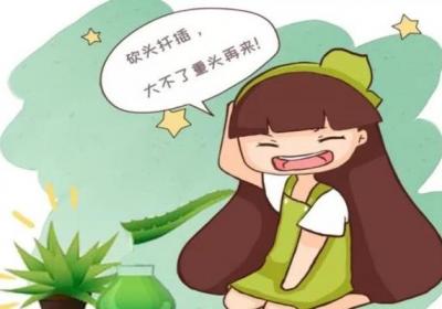 芦荟被她一刀两断后,蹭蹭蹿个爆小崽,盆都装不下了！