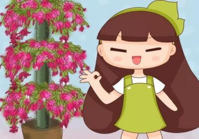 蟹爪兰仙人球…插它身上就活,开花五颜六色,堪称万能嫁接神器！
