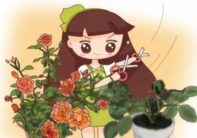 桂花这些枝赶紧掐,1个月后开花多到爆,香气飘10里！