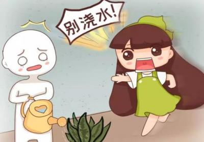 这10种花俩月没浇水,竟然越长越猛！