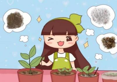 这4种花,现在扦插100%活,错过再等一年！