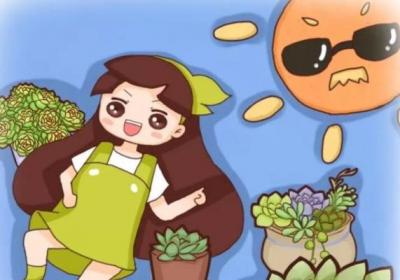 立秋这么晒太阳,怪不得多肉晒一盆死一盆！