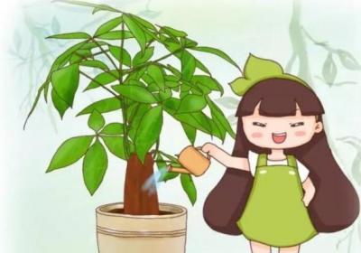 万能浇水神器,就是1根小吸管,专治烂根黄叶！