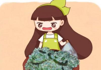 这7种多肉,夏天千万别断水,否则秋天全玩儿完！
